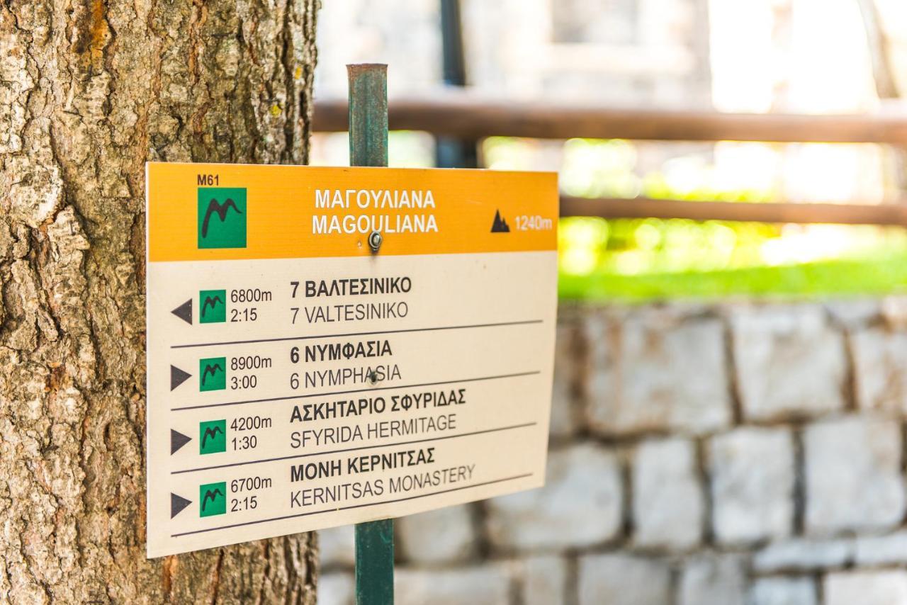 «Σκλάβας Χνάρι» Παραδοσιακός Ξενώνας Magouliana Exterior foto