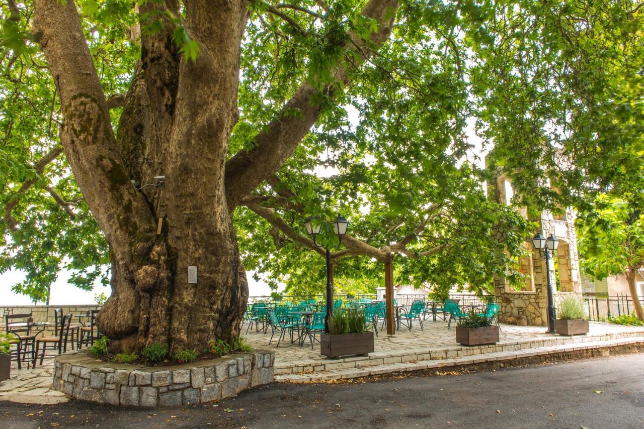 «Σκλάβας Χνάρι» Παραδοσιακός Ξενώνας Magouliana Exterior foto